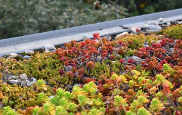 the cost of Rowfoot green roof installation