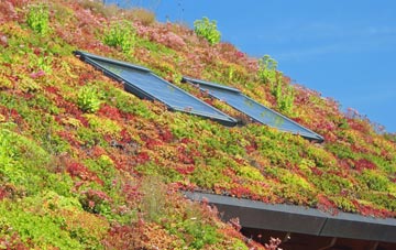 Rowfoot living roof systems