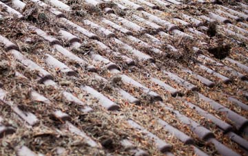 Rowfoot roof cleaning companies