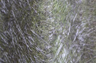 Rowfoot fibreglass roof work